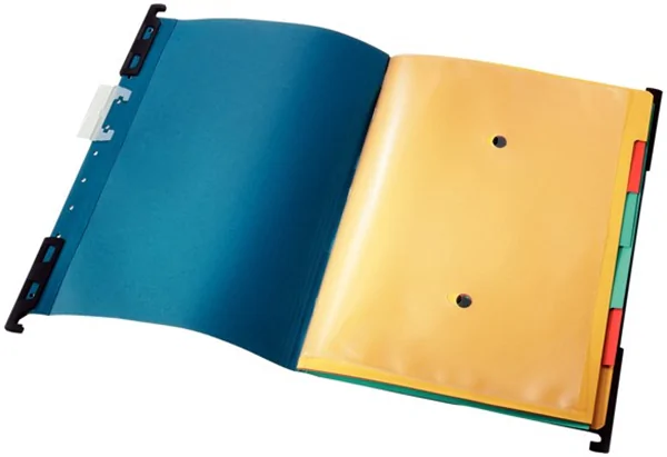 Hängemappen mit Fächern und Ordnungsmappe blau Leitz (1890-00-35)