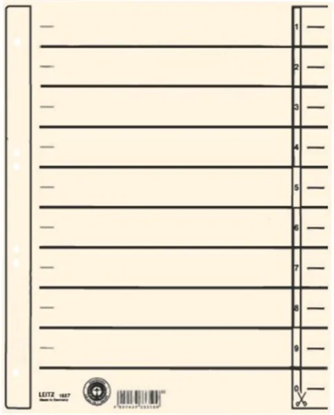 Trennblatt A4 chamois 200g Leitz 240 x 300mm Karton Lochung hinterklebt