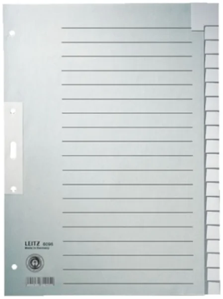 Register blanko A4 20-teilig Tauenpapier Leitz 100g grau 223x300mm Tab verstärkt